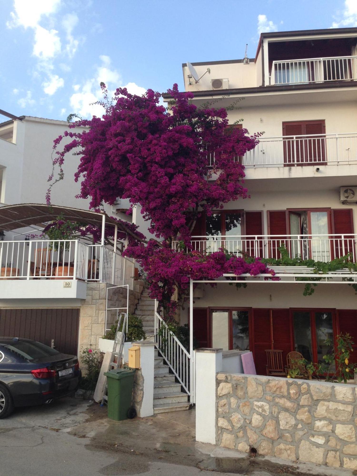 Apartment Duda Đảo Hvar Ngoại thất bức ảnh